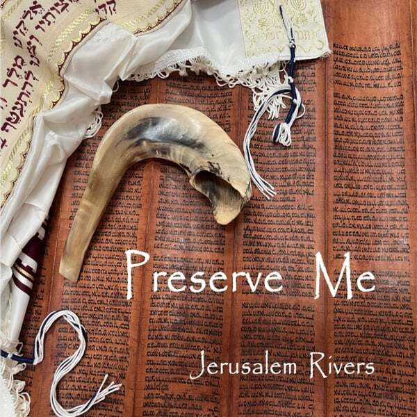 Cover art for Preserve Me
